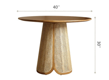 Rattan Dining Chairs and Table - Habitature